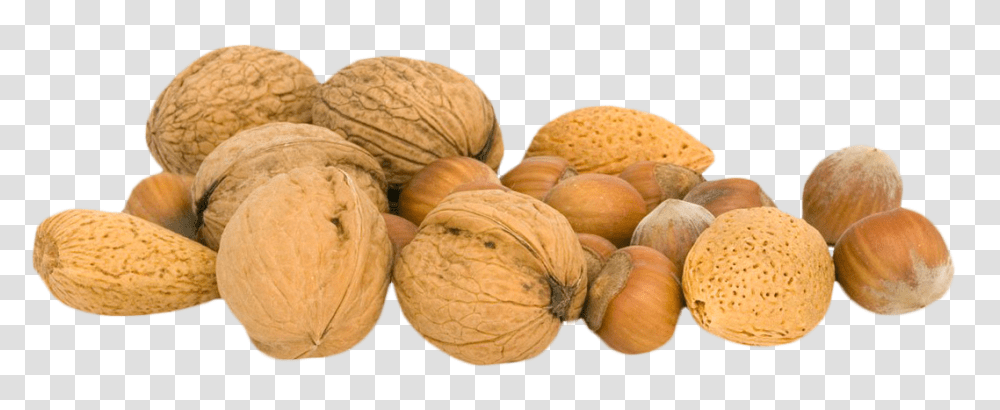 Walnut, Plant, Vegetable, Food, Bread Transparent Png