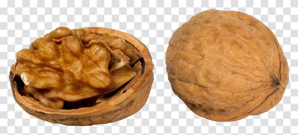 Walnut, Plant, Vegetable, Food, Bread Transparent Png