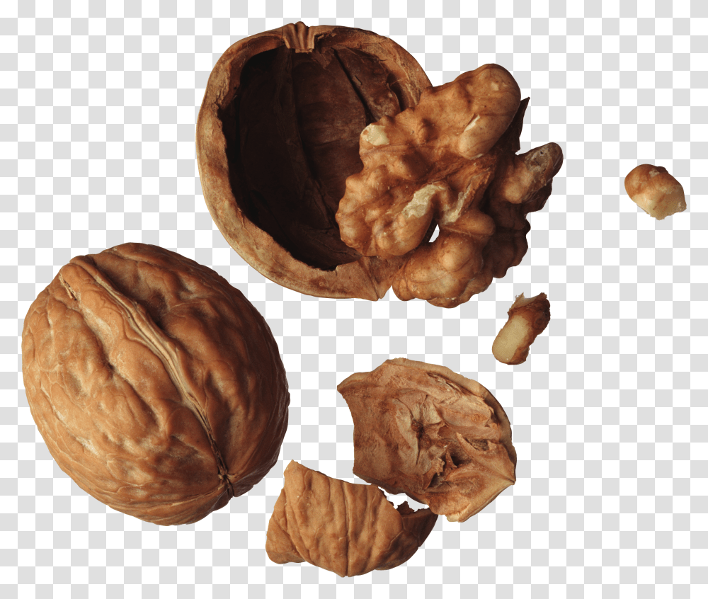 Walnut, Plant, Vegetable, Food, Bread Transparent Png