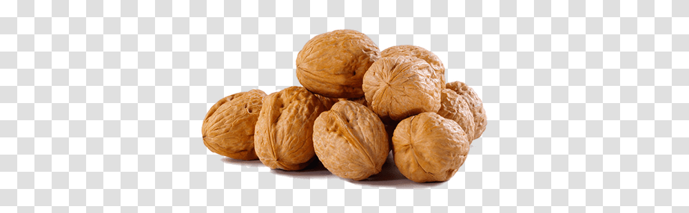 Walnut, Plant, Vegetable, Food, Bread Transparent Png