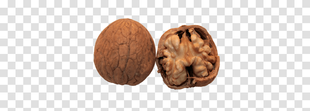 Walnut, Plant, Vegetable, Food, Fungus Transparent Png