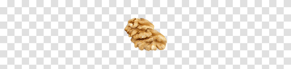 Walnut, Plant, Vegetable, Food, Fungus Transparent Png