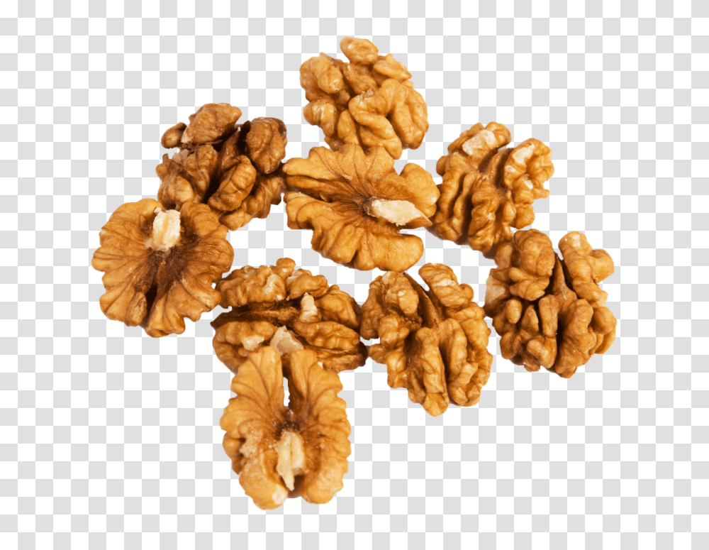 Walnut, Plant, Vegetable, Food, Fungus Transparent Png