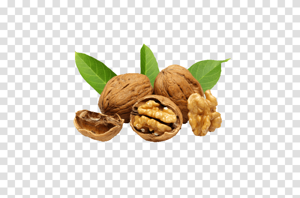 Walnut, Plant, Vegetable, Food, Pineapple Transparent Png