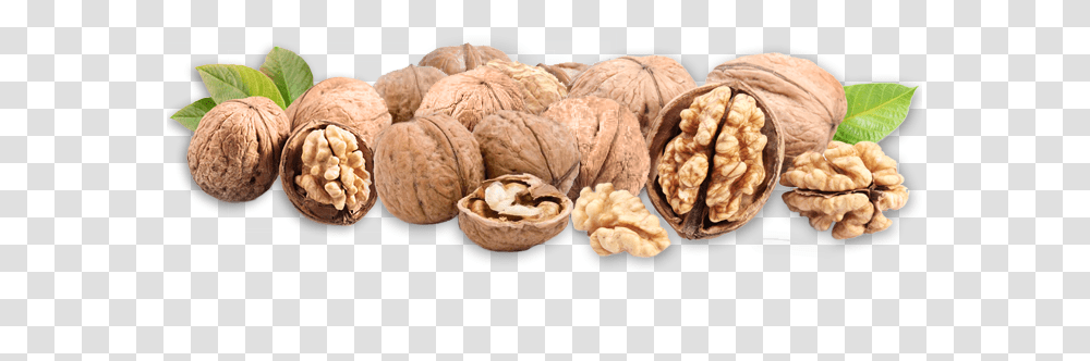 Walnut, Plant, Vegetable, Food Transparent Png