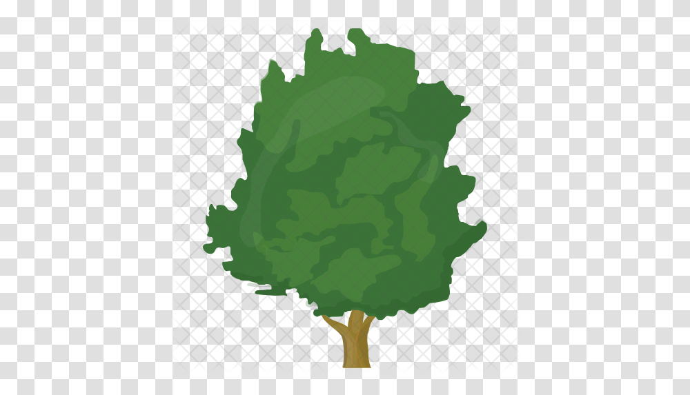 Walnut Tree Icon Plane, Plant, Vegetable, Food, Bonfire Transparent Png