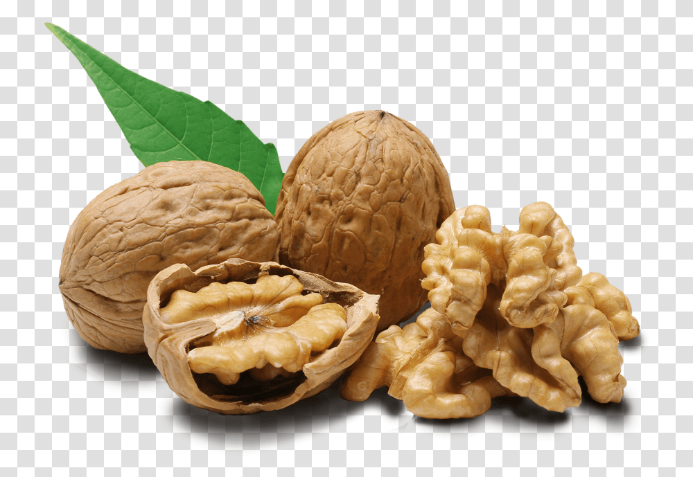 Walnut Walnuts, Plant, Vegetable, Food, Fungus Transparent Png