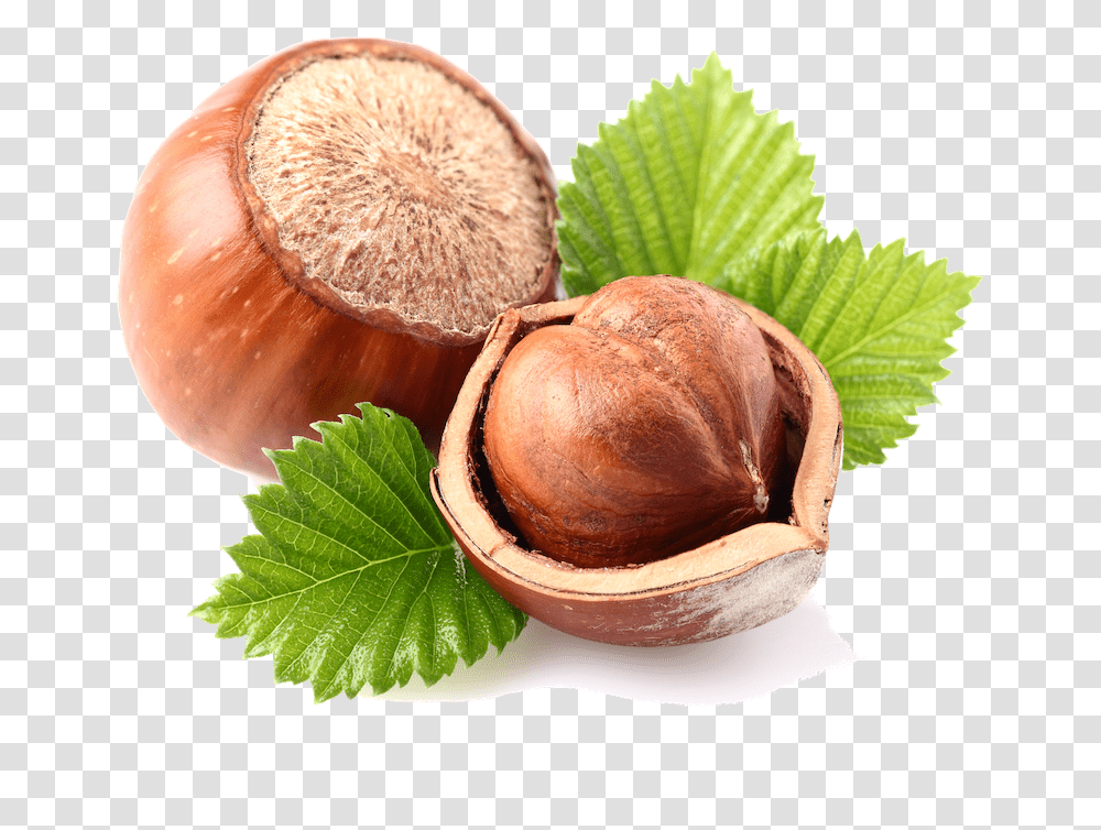 Walnuts Hazelnut With Background, Plant, Vegetable, Food, Fungus Transparent Png