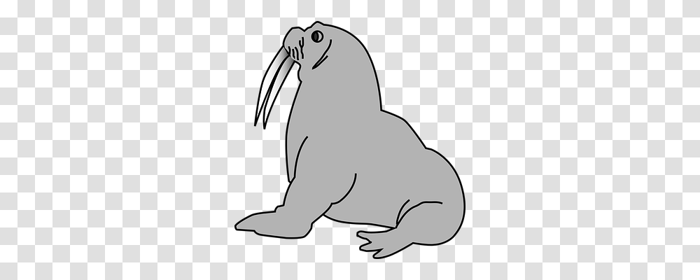 Walrus Nature, Animal, Mammal, Sea Life Transparent Png