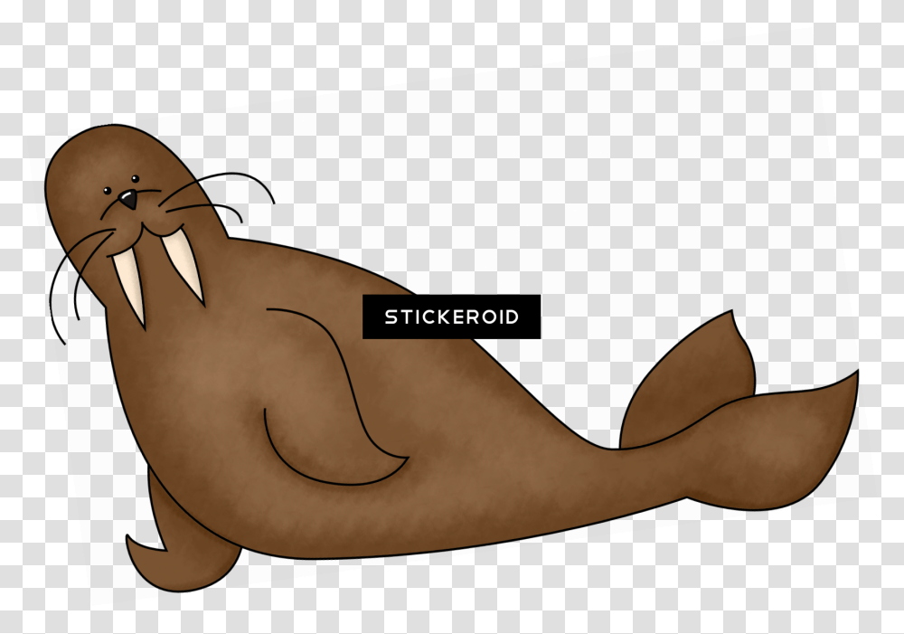 Walrus, Animal, Person, Hand, Mammal Transparent Png