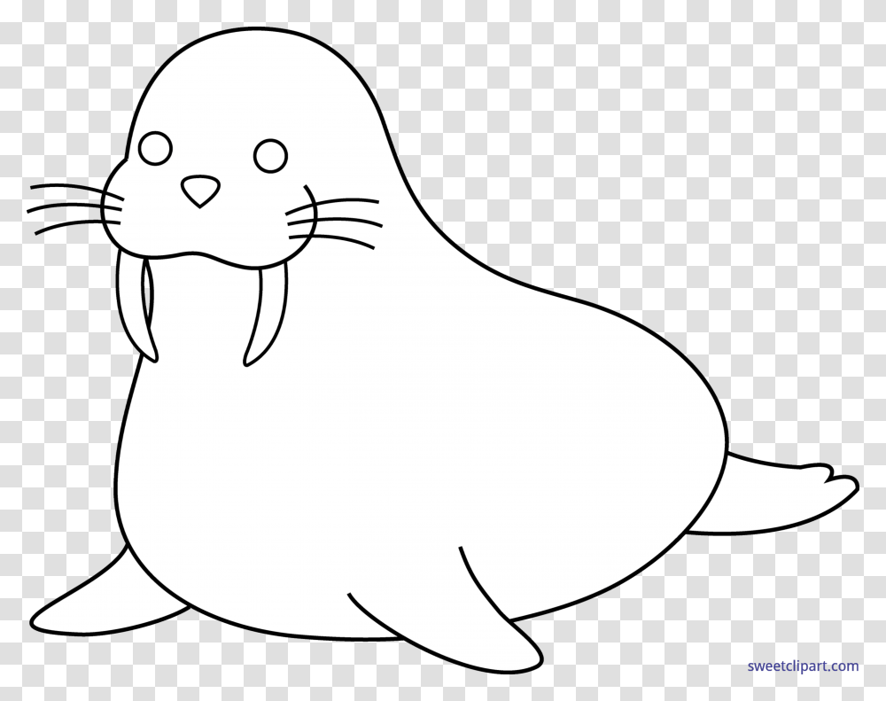Walrus Clipart Black And White Free Outline Images Of Walrus, Sea Life, Animal, Mammal, Shark Transparent Png