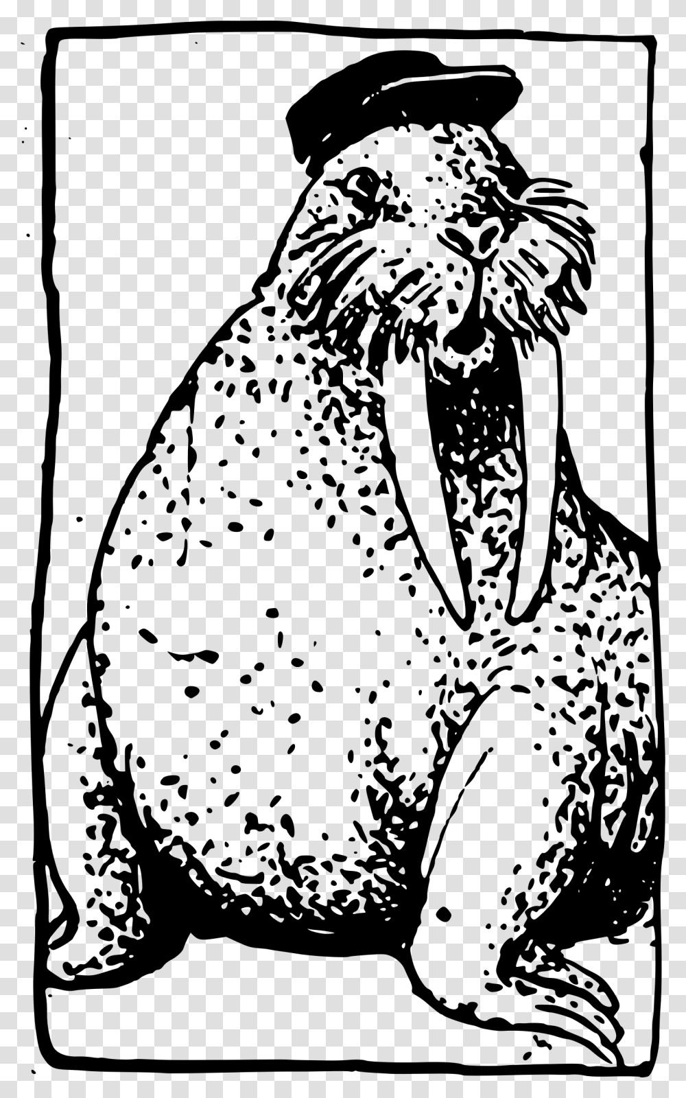 Walrus Clipart Illustration, Gray, World Of Warcraft Transparent Png