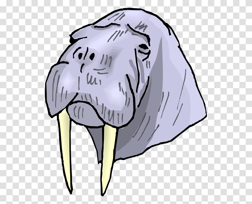 Walrus Clipart, Mammal, Animal, Elephant, Wildlife Transparent Png