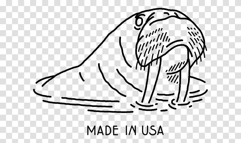 Walrus Drawing And Http Sketch, Gray, World Of Warcraft Transparent Png