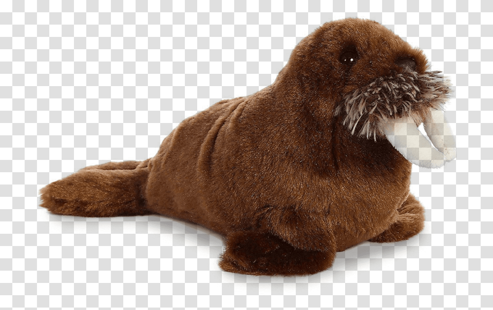 Walrus Free Download Walrus Plush, Mammal, Animal, Wildlife, Rodent Transparent Png