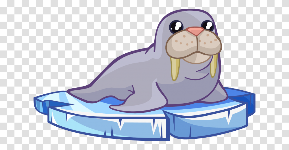 Walrus Free To Use Cliparts, Sea Life, Animal, Mammal Transparent Png