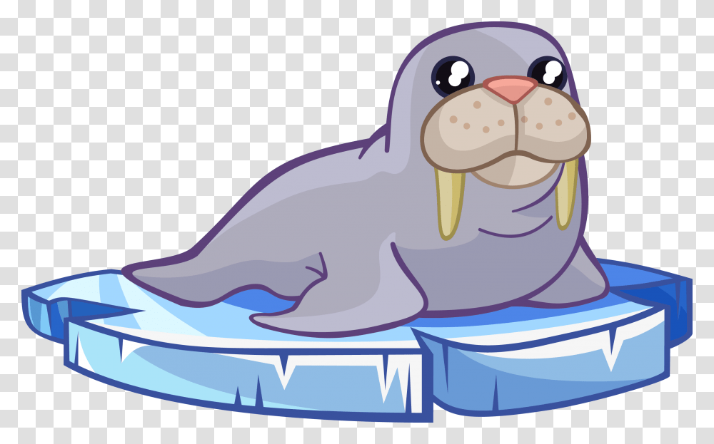 Walrus Free To Use Cliparts Walrus Clipart, Sea Life, Animal, Mammal, Plush Transparent Png