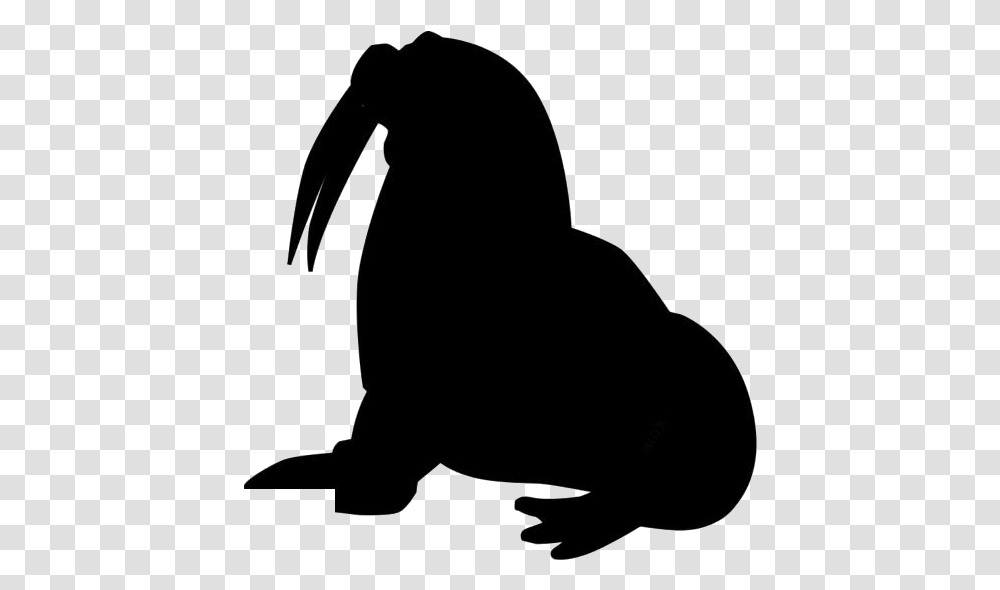 Walrus Image With Background Illustration, Silhouette, Kneeling, Mammal, Animal Transparent Png