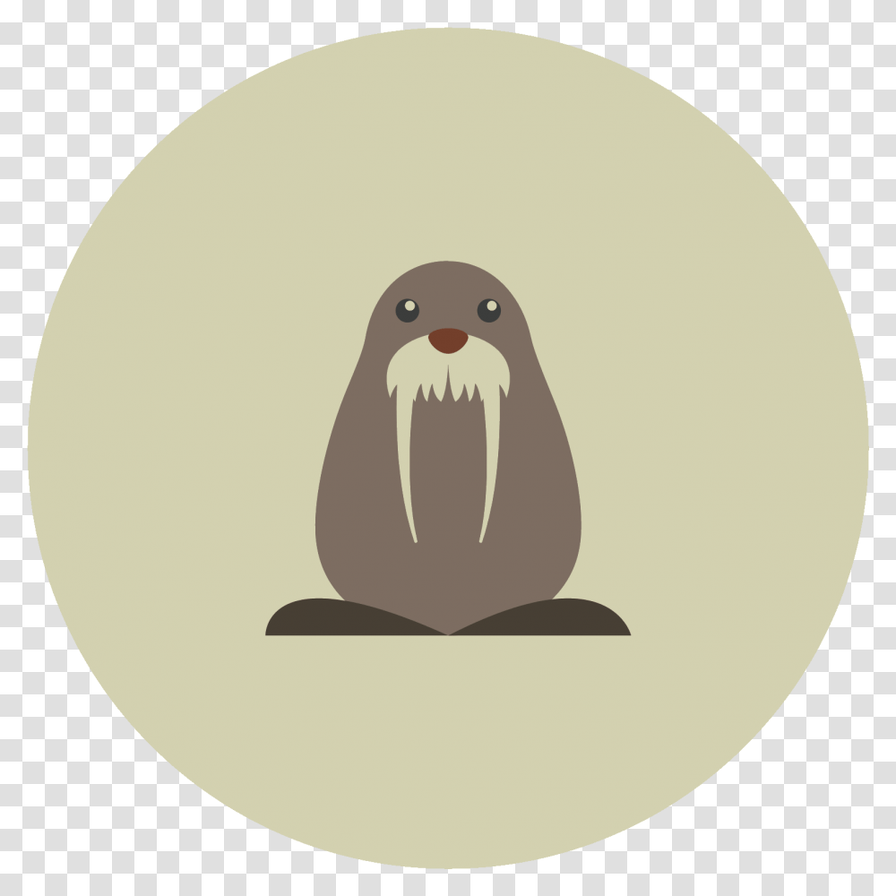 Walrus Walrus, Animal, Bird, Kiwi Bird, Penguin Transparent Png