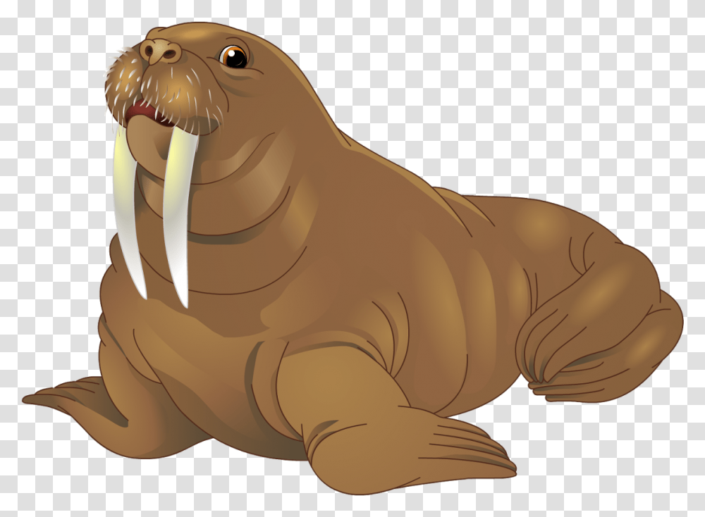 Walrus Walrus Clip Art, Mammal, Sea Life, Animal Transparent Png
