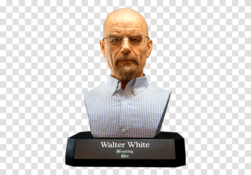 Walter White Bust, Person, Human, Apparel Transparent Png