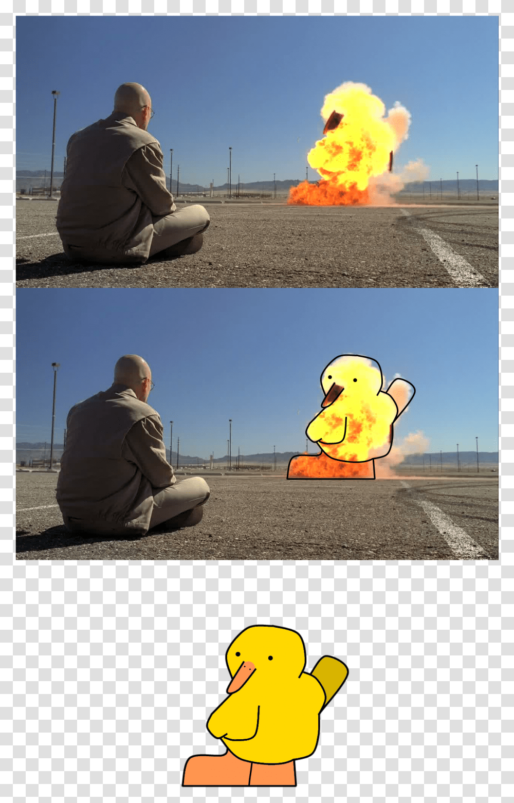Walter White Saul Goodman Yellow Water Bird Ducks Geese Cool Men Dont Look At Explosions, Person, Giant Panda, Tire Transparent Png