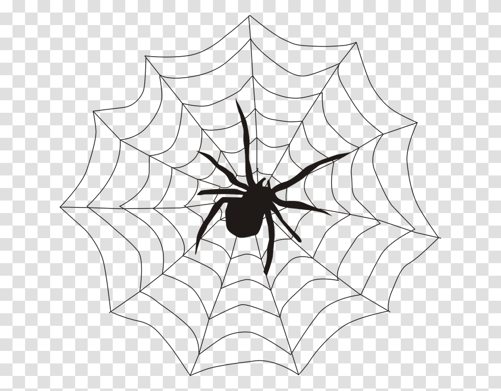 Walters Wonderful Spider Charleston County Public Library, Spider Web Transparent Png