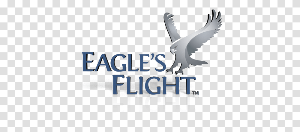 Want To Become An Eaglequots Flight Global Licensee Eagles Flight, Vulture, Bird, Animal, Flying Transparent Png