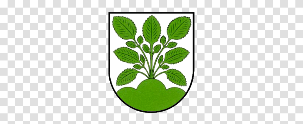 Wappen Hasel, Leaf, Plant, Green, Potted Plant Transparent Png