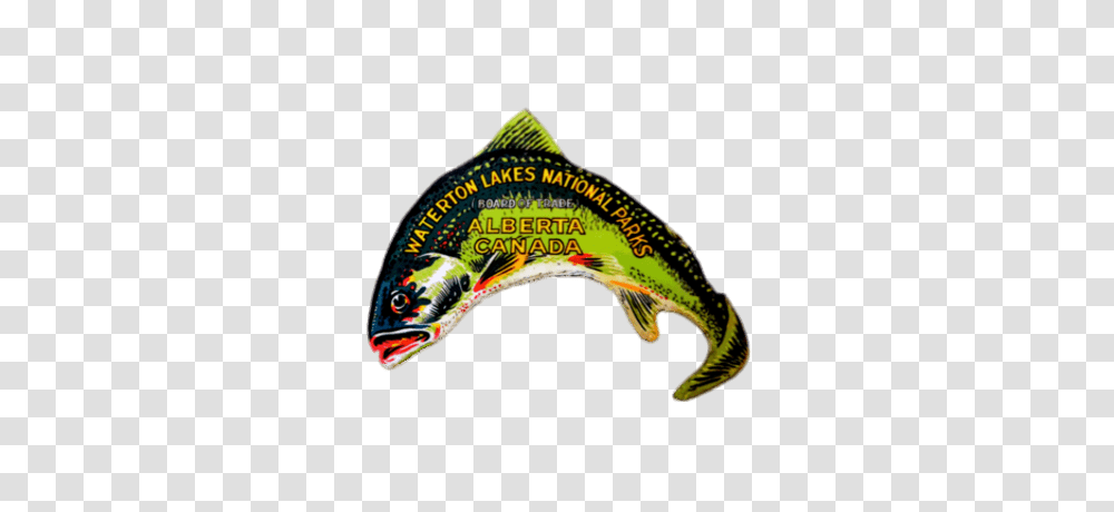 Wapusk National Park Round Sticker, Bird, Animal, Fish, Reptile Transparent Png