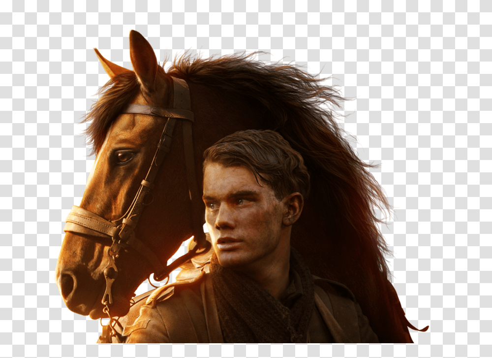 War Horse Movie, Mammal, Animal, Person, Human Transparent Png