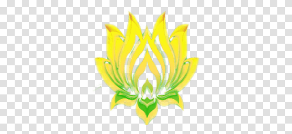 Warlords Of Lotus Clan News Language, Plant, Flower, Blossom, Petal Transparent Png