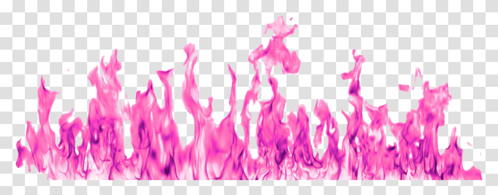 Warm And Cool Pink Flames Pink Fire Background, Purple, Pattern, Graphics, Art Transparent Png