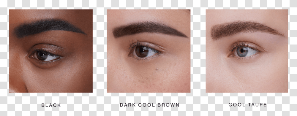 Warm Black Brown Eyebrow, Skin, Face, Person, Human Transparent Png