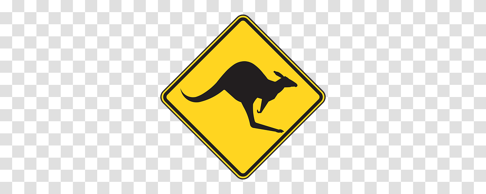 Warning Transport, Animal, Kangaroo Transparent Png