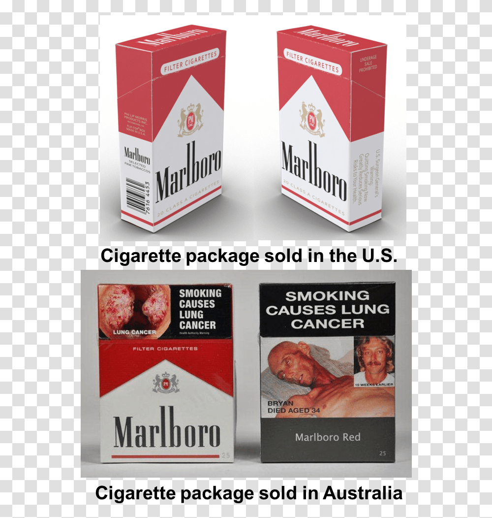 Warning Labels On Cigarette Packaging, Poster, Advertisement, Box, Flyer Transparent Png