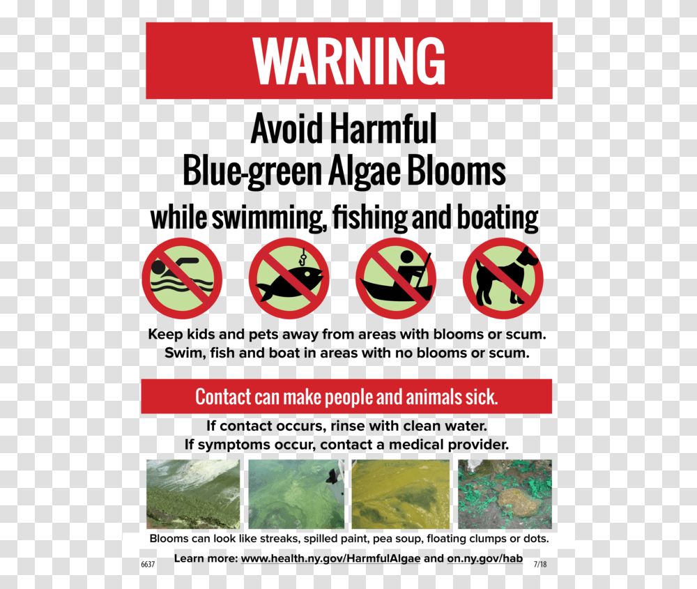 Warning Toxic Algae, Advertisement, Poster, Flyer, Paper Transparent Png