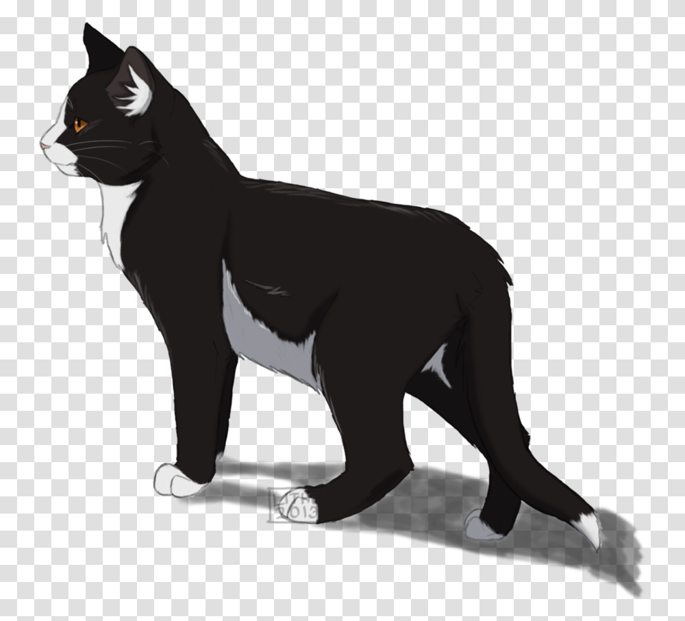 Warrior Cats Background, Pet, Mammal, Animal, Person Transparent Png