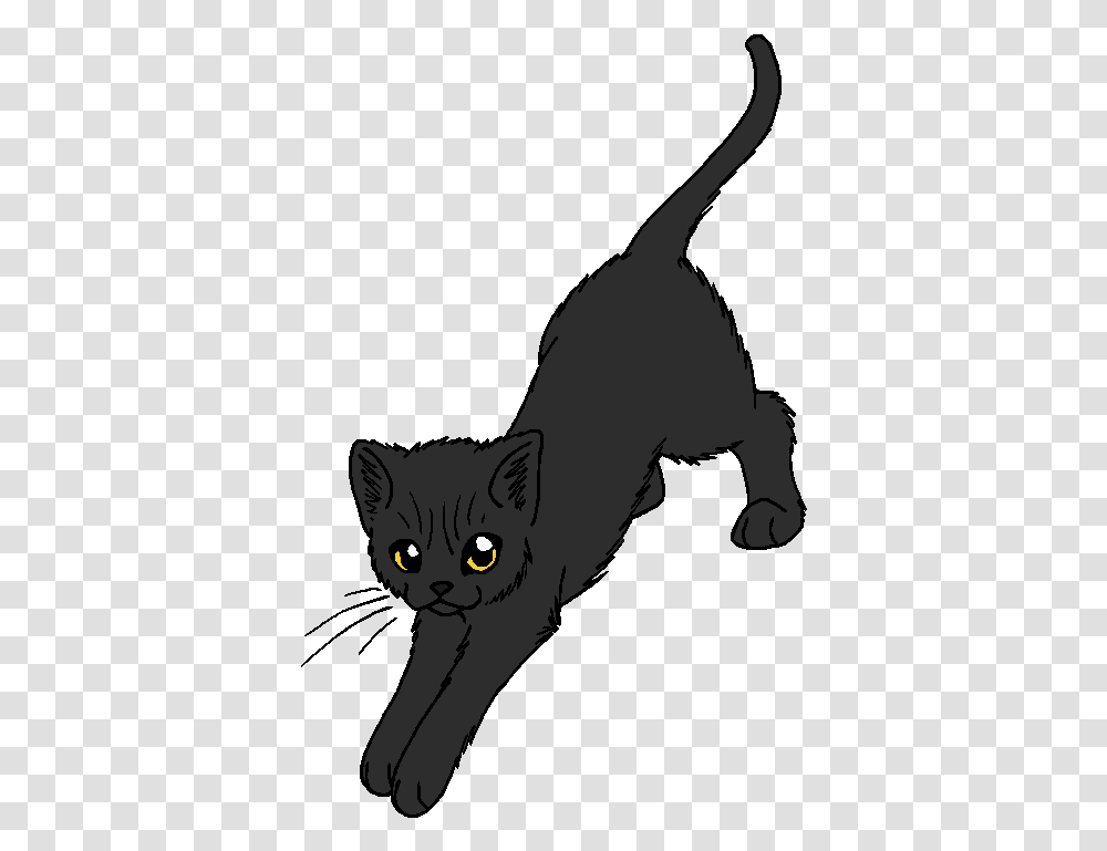 Warrior Cats Jackdaw's Cry, Black Cat, Pet, Mammal, Animal Transparent Png