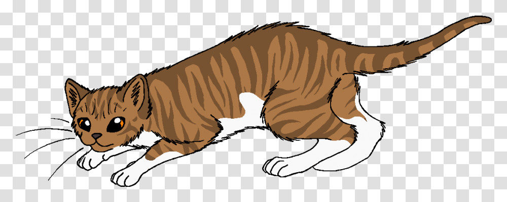 Warrior Cats Thunder And Shadow Banner Black And, Dinosaur, Animal, Tiger, Wildlife Transparent Png