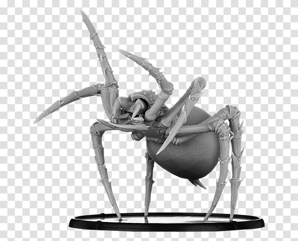 Warrior Spider, Bow, Person, Human, Animal Transparent Png