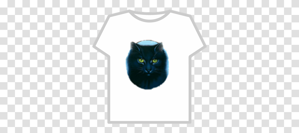 Warriors Hollyleaf T Shirt Background Roblox Black Cat, Clothing, Apparel, Pet, Mammal Transparent Png