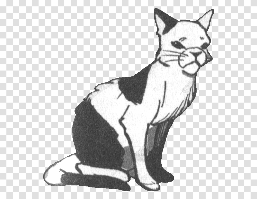 Warriors Wiki Domestic Short Haired Cat, Pet, Mammal, Animal, Egyptian Cat Transparent Png
