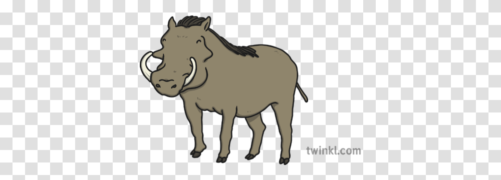 Warthog 1 Illustration Animal Figure, Mammal, Wildlife, Horse Transparent Png
