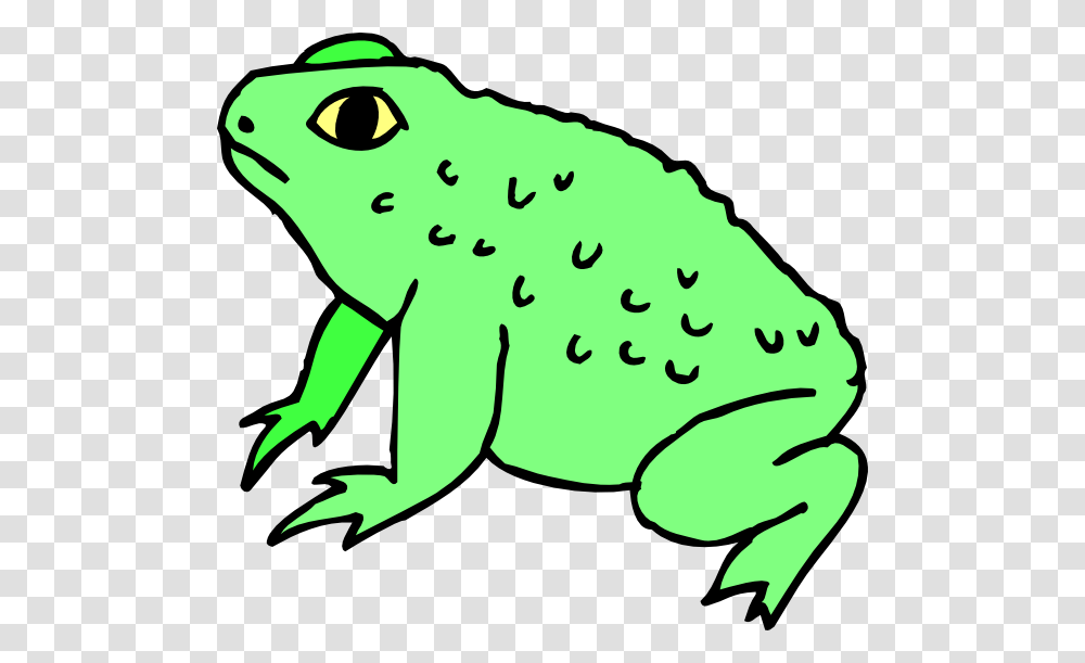 Warty Frog Clip Art, Amphibian, Wildlife, Animal, Tree Frog Transparent Png