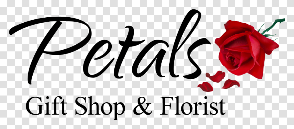 Warwick Florist Flower Delivery By Petals & Gift Shop Dot, Rose, Plant, Clothing, Tree Transparent Png