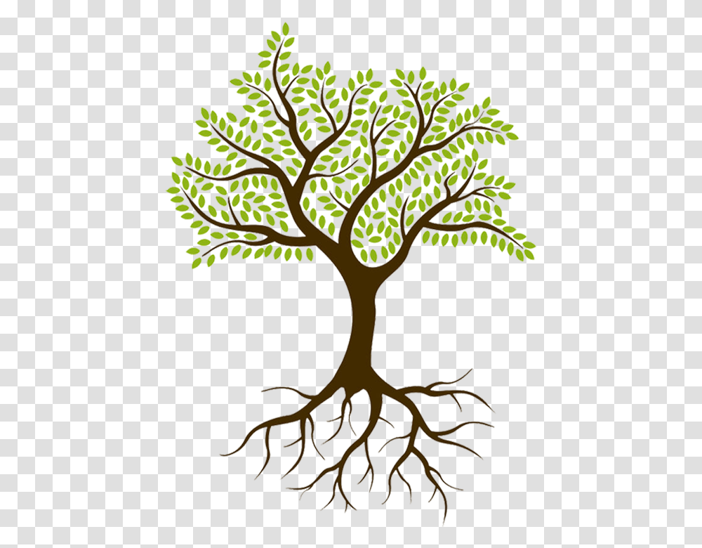 Was Started In 2015 By Sheryl Lyons Tree With Leaves And Roots, Plant, Tree Trunk Transparent Png