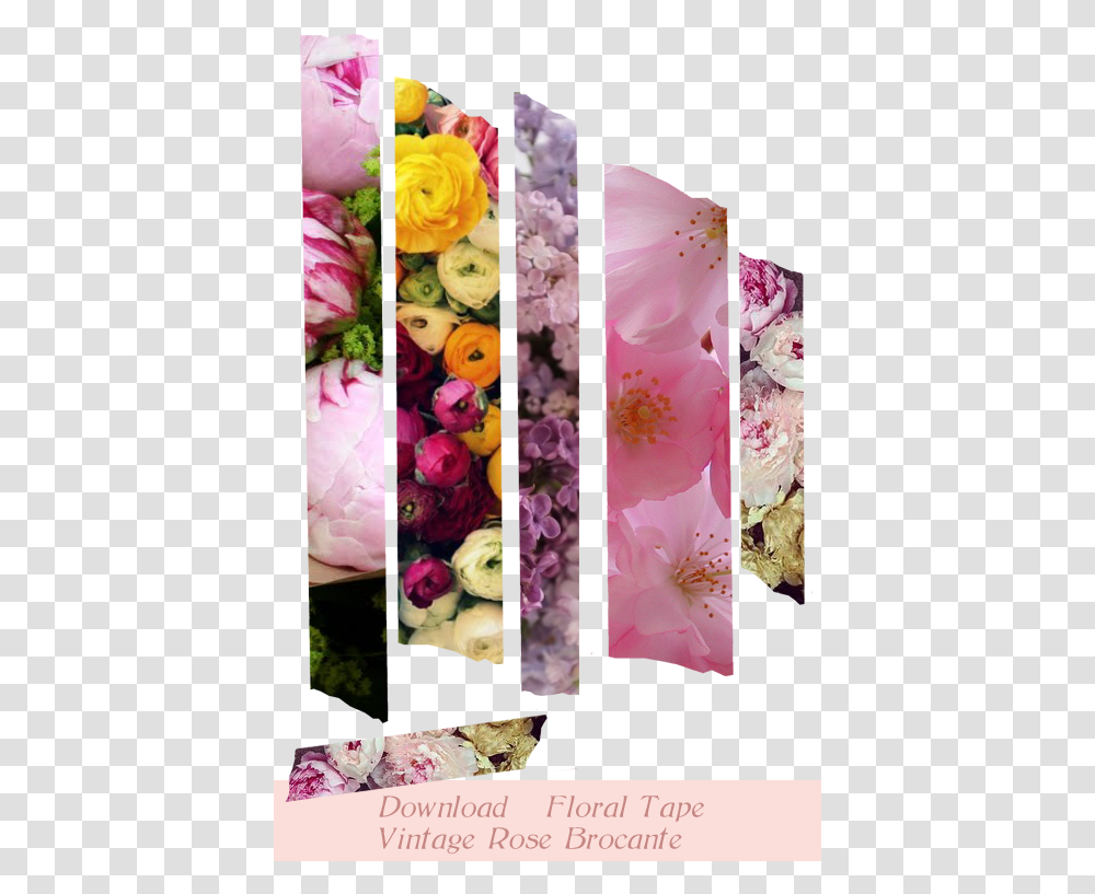Washi Tape Persian Buttercup, Petal, Flower, Plant, Collage Transparent Png