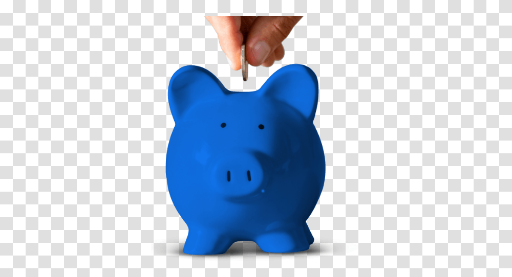 Washing In Cold Water Turntocold With Tide Happy, Piggy Bank, Person, Human Transparent Png