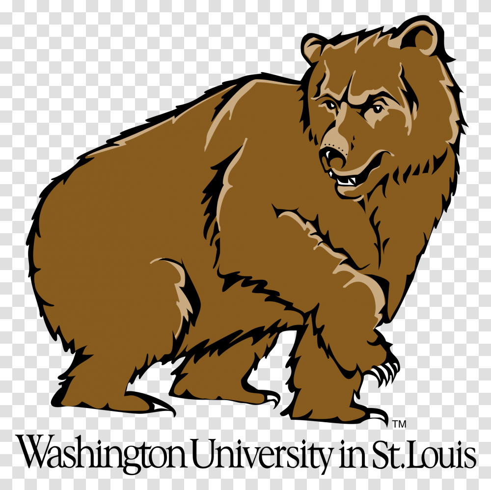 Washington University In St Louis, Wildlife, Animal, Mammal, Lion Transparent Png